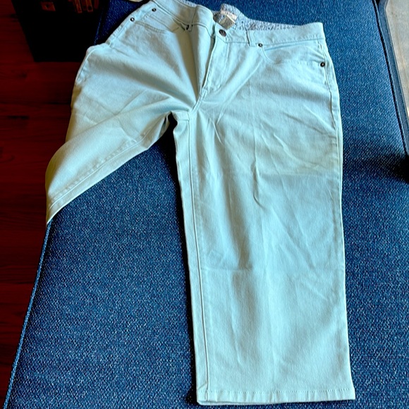NWT IZOD: Stretch Ankle Jeans, Size 16, Very Light Blue Wash - Picture 8 of 8